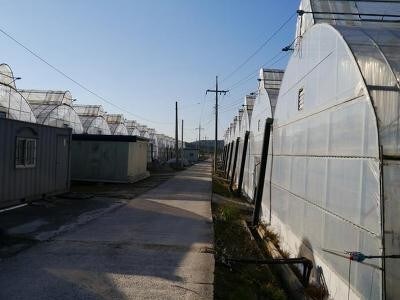 한국 20대 초반 남자들이 겪는 고통_1.jpg