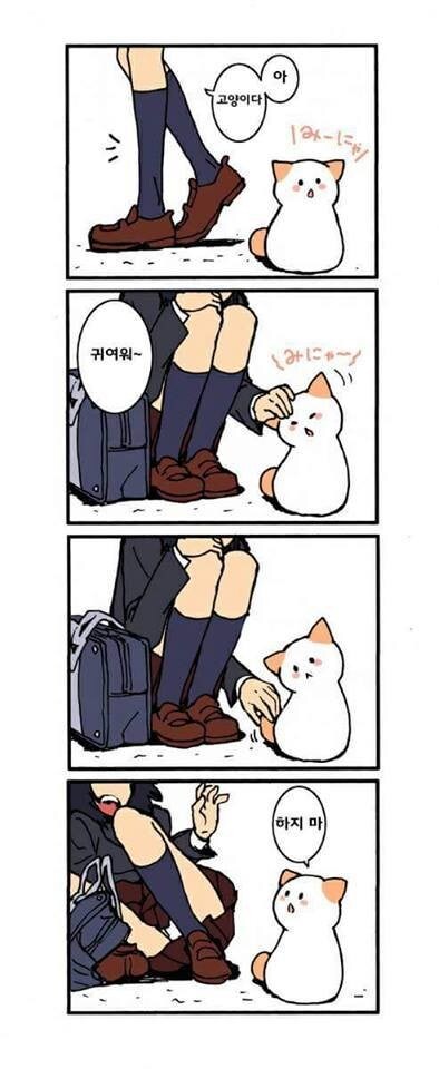 고양이가 말을 한다_1.jpg