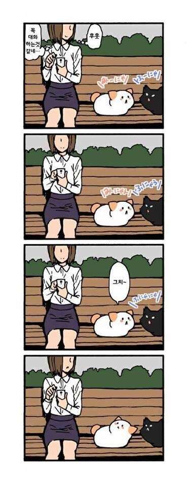 고양이가 말을 한다_4.jpg