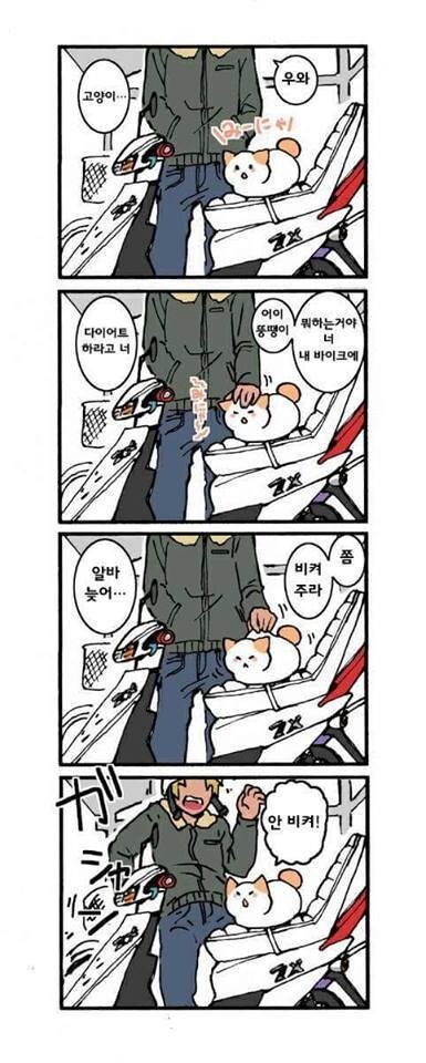 고양이가 말을 한다_5.jpg