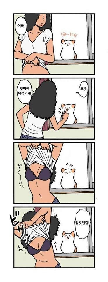 고양이가 말을 한다_7.jpg