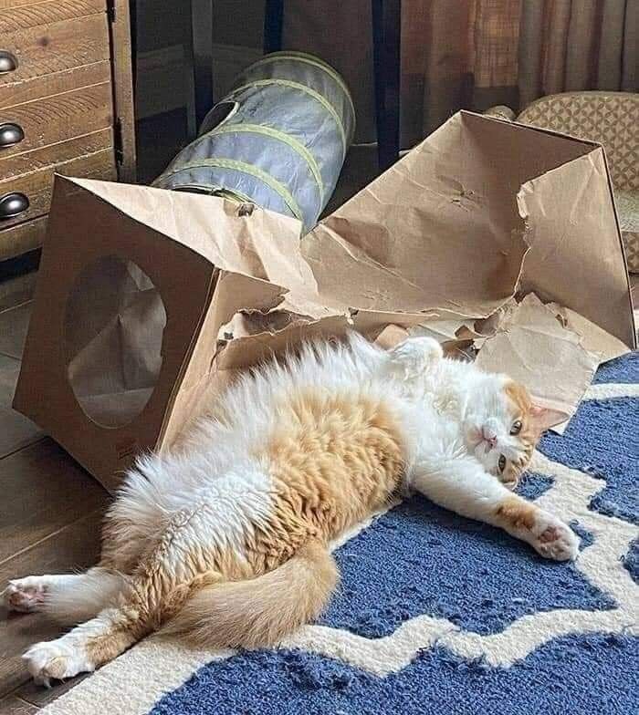 제법 좋은 녀석이었어.jpg_1.jpg
