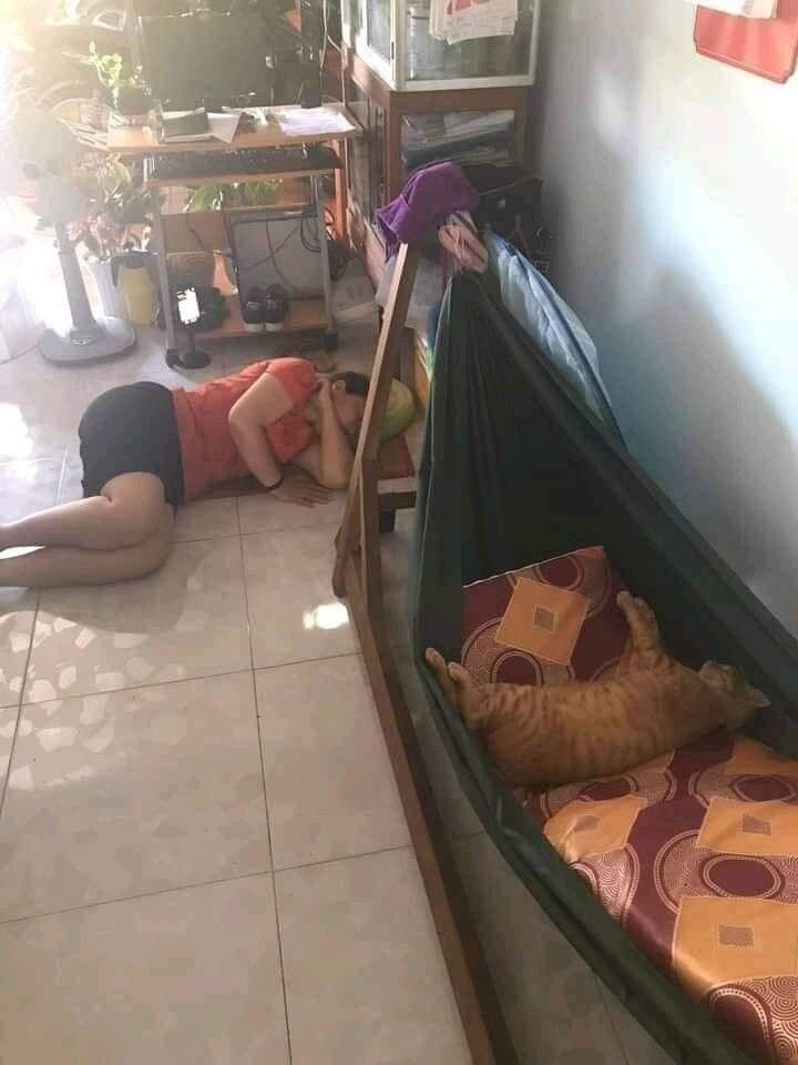 고양이키우는집 특.jpg_1.jpg