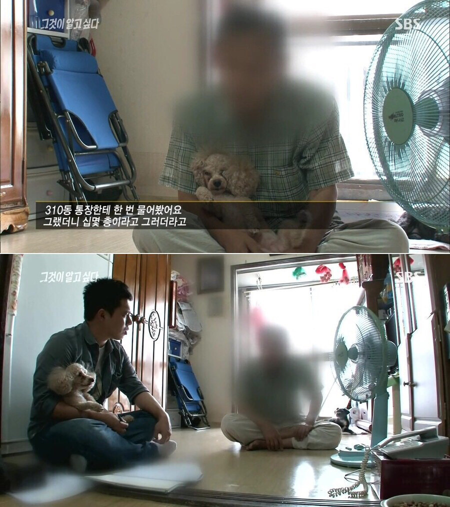 친화력 좋은 푸들.jpg_1.jpg