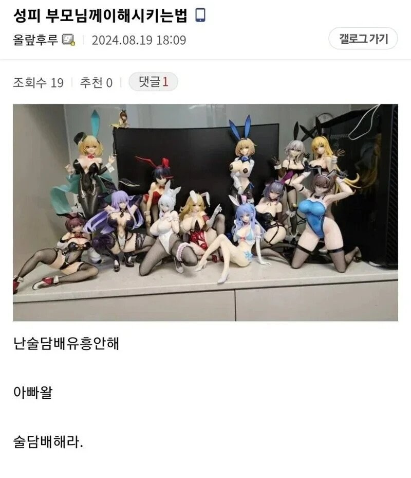 부모님께 성인피규어 이해시키는 법.jpg_1.jpg