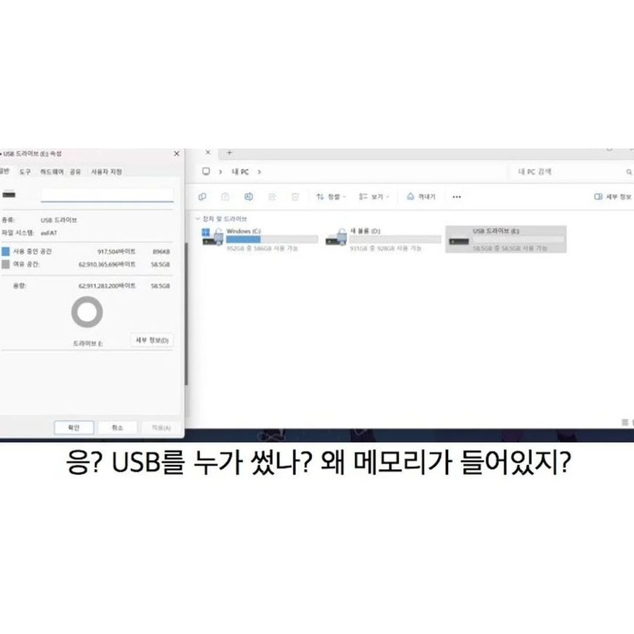 어떤 멸치가 마지막으로 본 것_2.webp