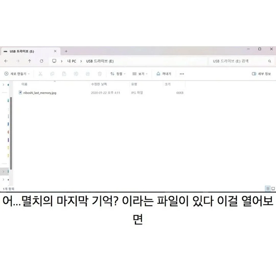 어떤 멸치가 마지막으로 본 것_3.webp
