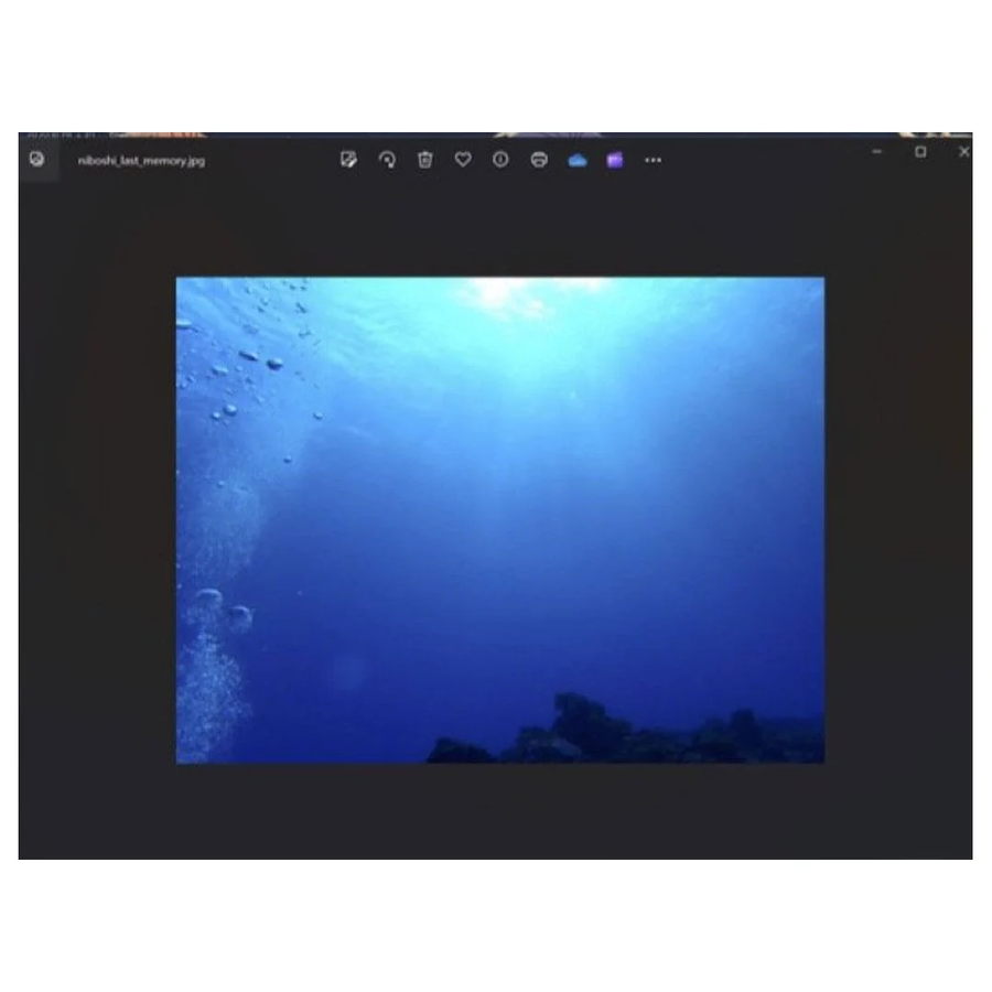 어떤 멸치가 마지막으로 본 것_4.webp