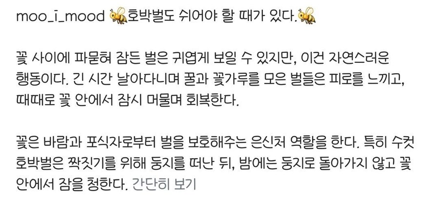 꽃 속에 머리박고 기절한 호박벌들_2.jpg