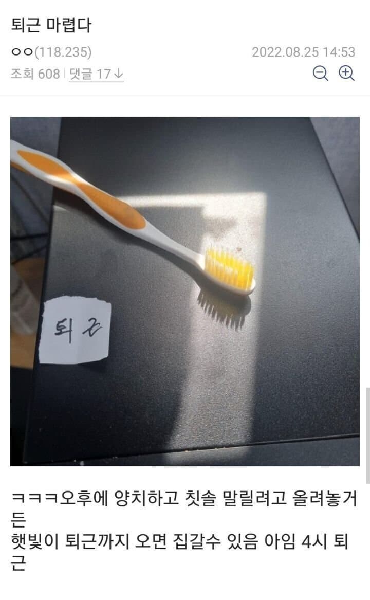 장영실 공익.jpg_1.jpg