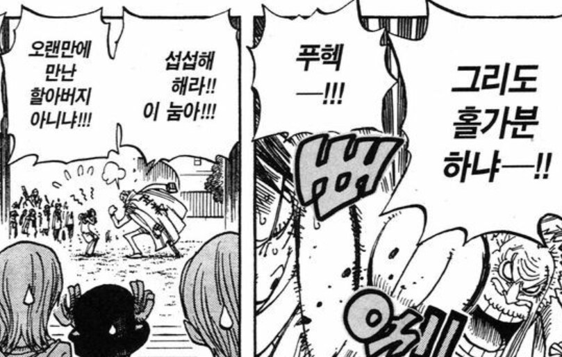 원피스에서 패기만큼 강력하다는 힘_3.jpg