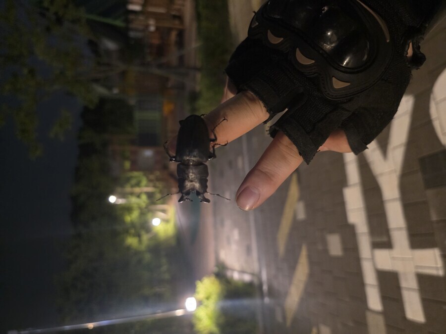밤딸배 하다보면 만나는 친구들ㅋㅋㅋㅋ_8.jpg