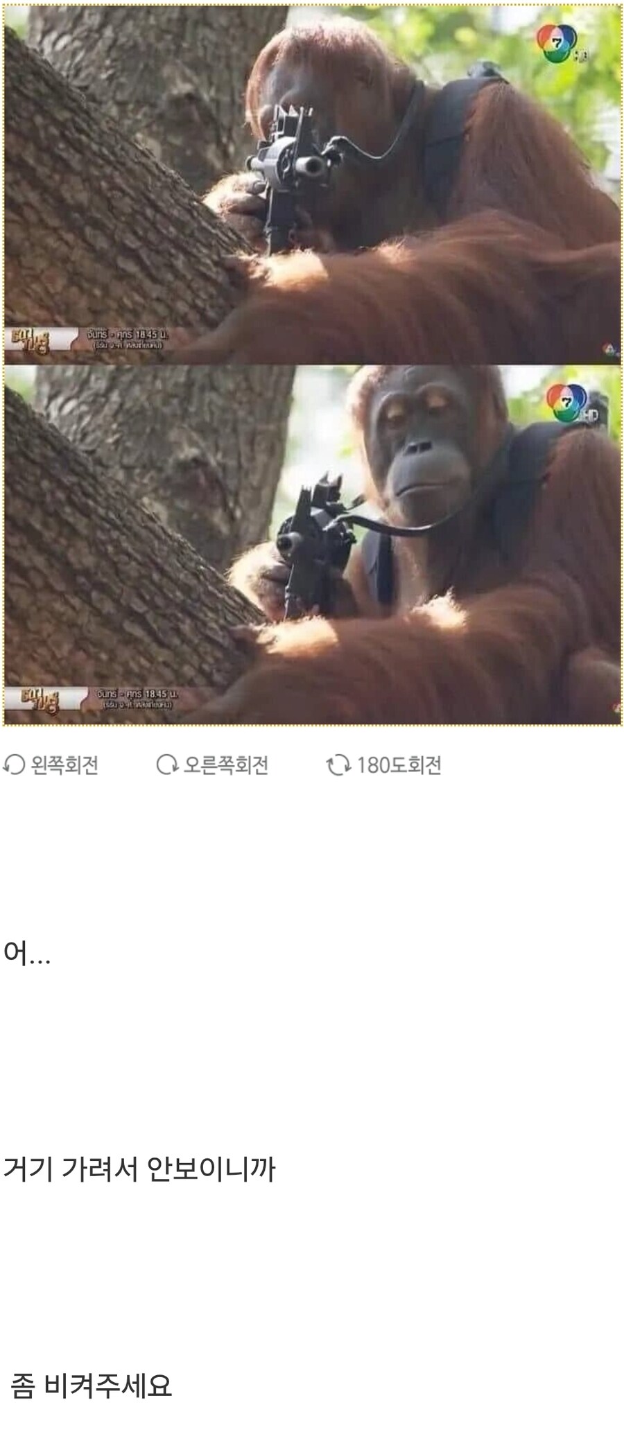 잘생긴 사람은 다 쏴죽이는 미친 원숭이_1.jpg