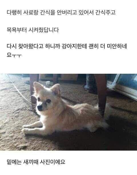 다른집에 분양보냈던 강아지가 집까지 찾아 왔네요._3.jpg