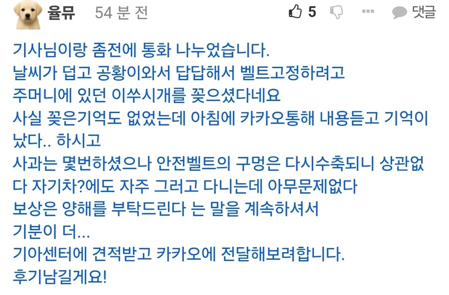 안전벨트에 이쑤시개 꽂은 대리기사.jpg_3.jpg