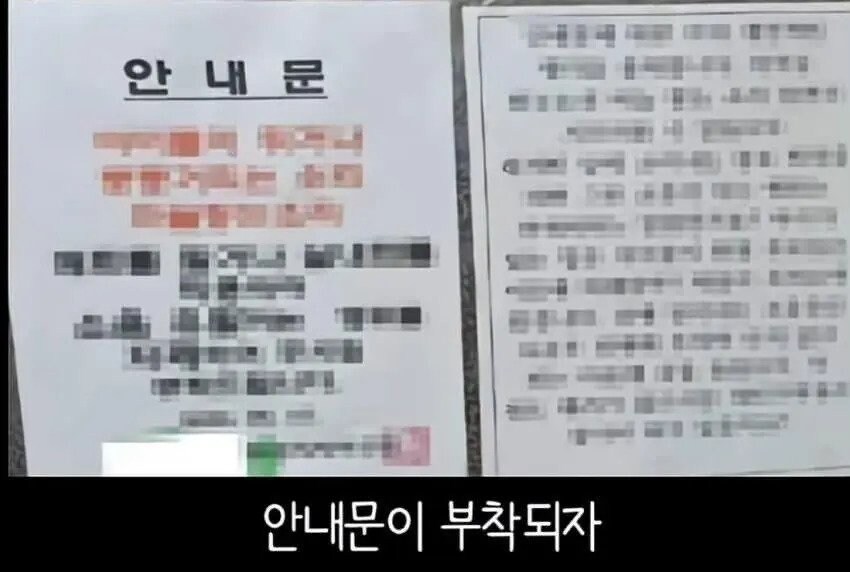 아파트에서 캣맘을 사라지게 한 묘수.JPG_9.jpg