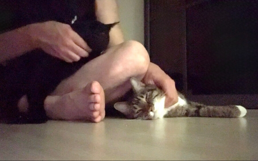 고양이 키우면 해야할일_2.jpg