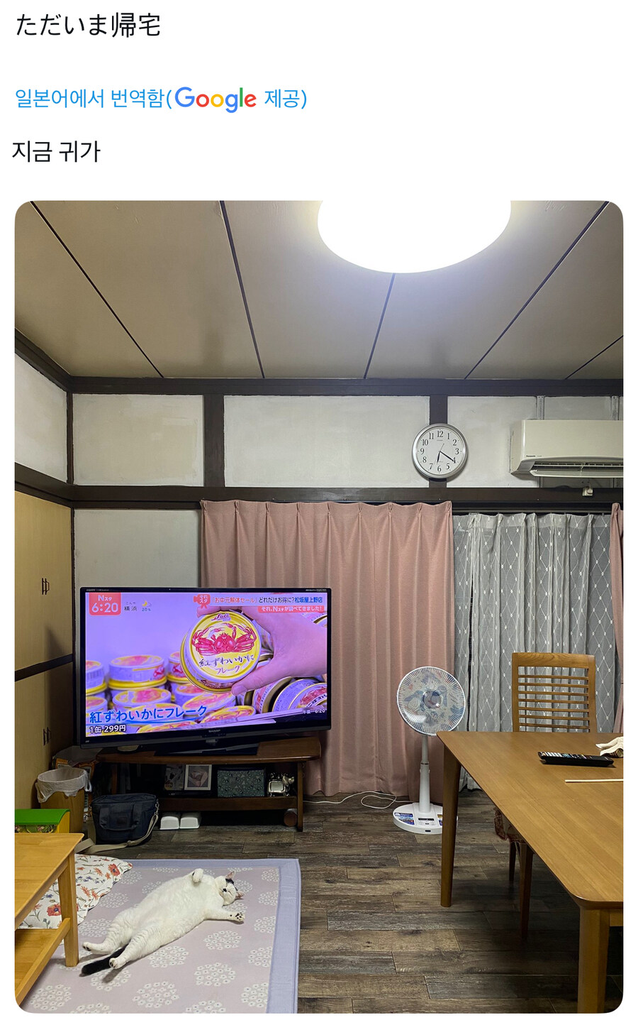 지금 막 집에 들어옴.jpg_1.jpg