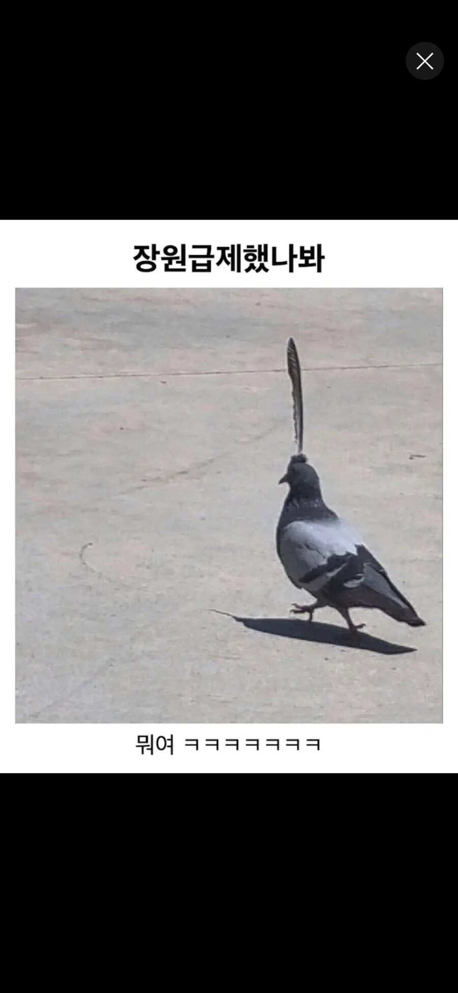 장원급제.jpg_1.jpg