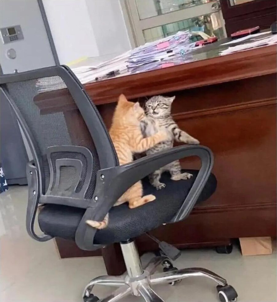사무실 싸움 일어남_2.jpg