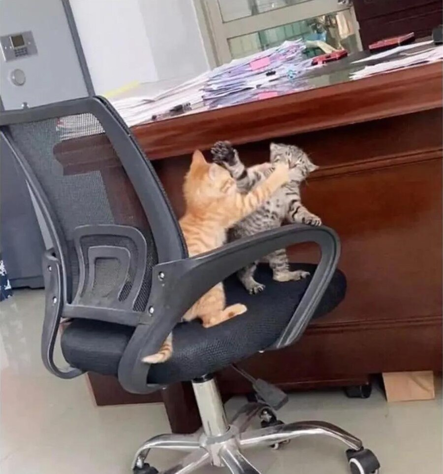 사무실 싸움 일어남_3.jpg