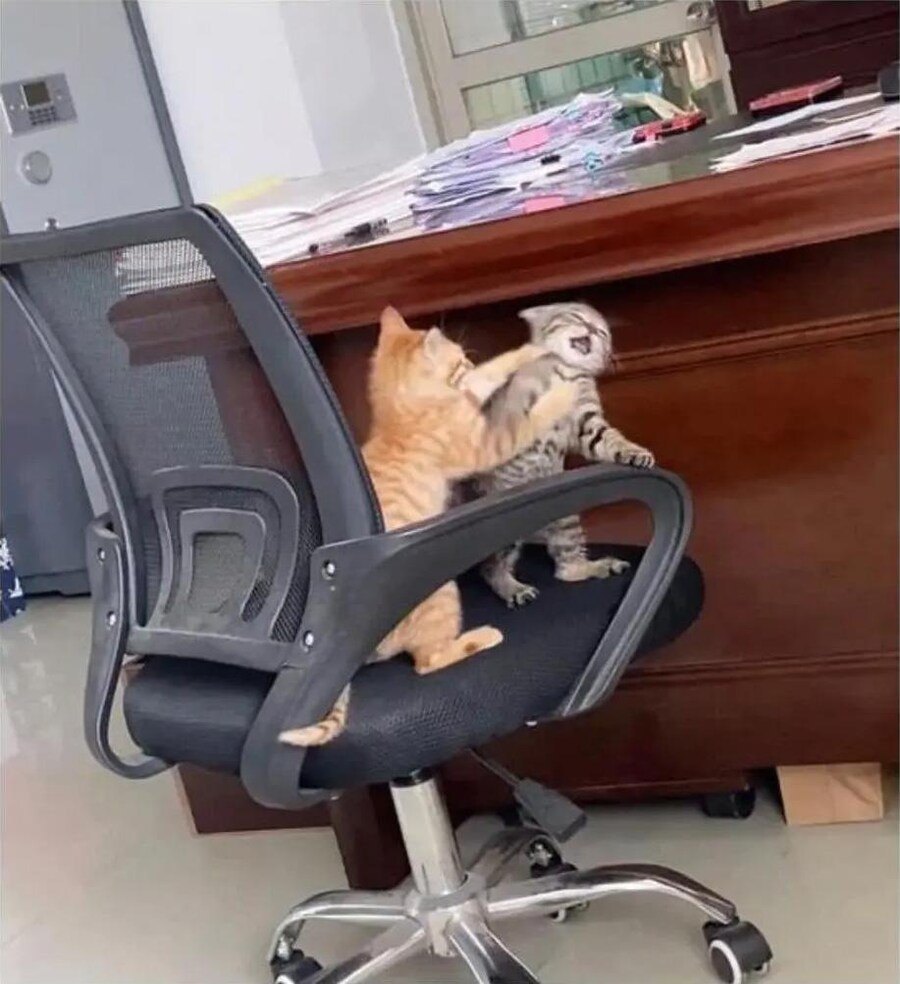 사무실 싸움 일어남_5.jpg
