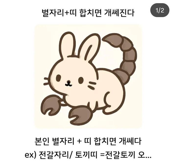 ? : 별자리랑 띠 합치면 개쎄짐_1.jpg