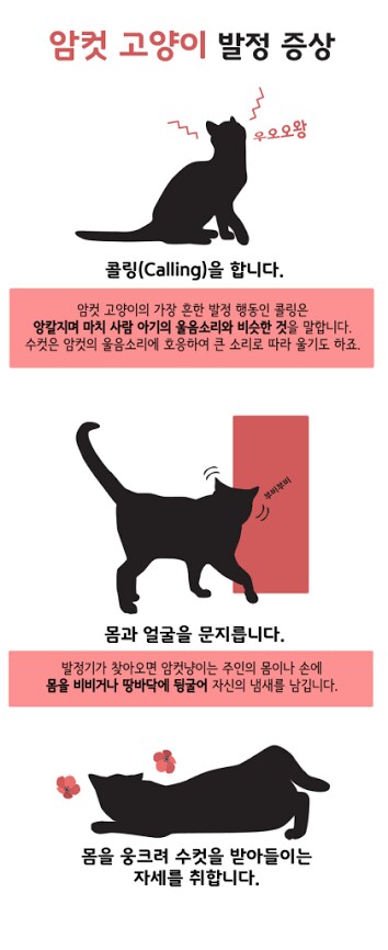 수인(獣人)으로 묘사되는 여캐릭터의 숙명_1.png