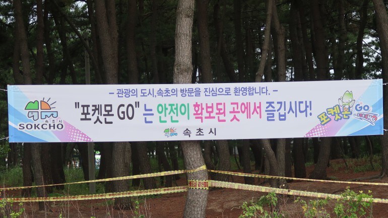 속초가 가장 빛났을 때_11.jpg