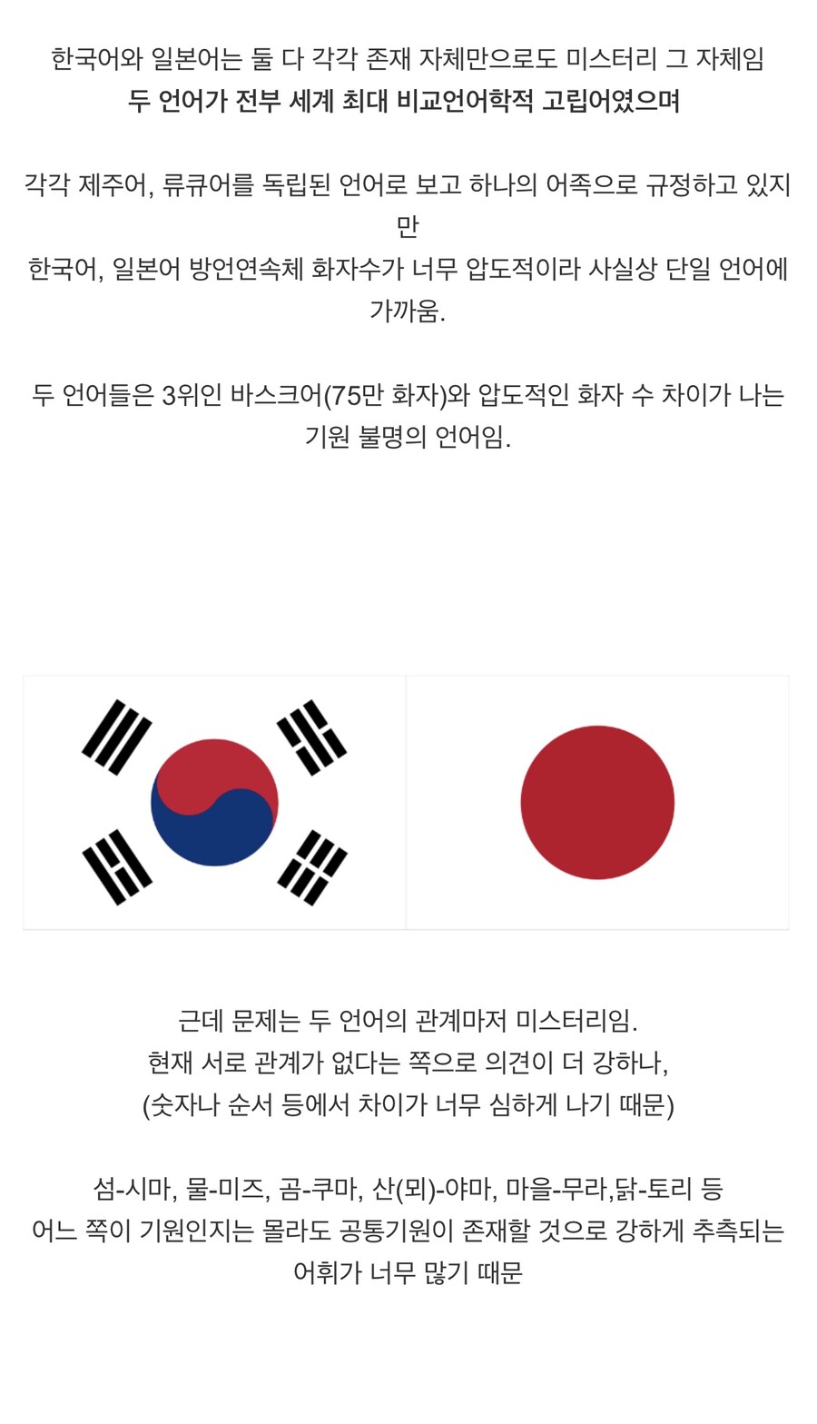 언어학계의 리만 가설인 언어들.jpg_3.jpg