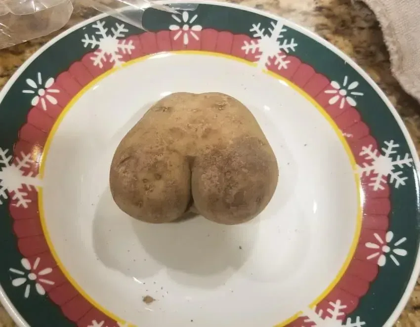 괜찮아? 파이즈리 할래?_1.webp