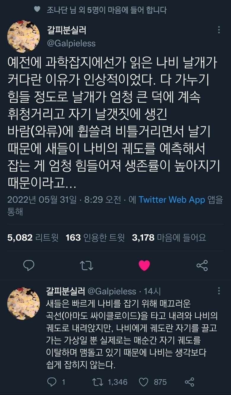 나비 날개의 진화 방향.jpg_1.jpg