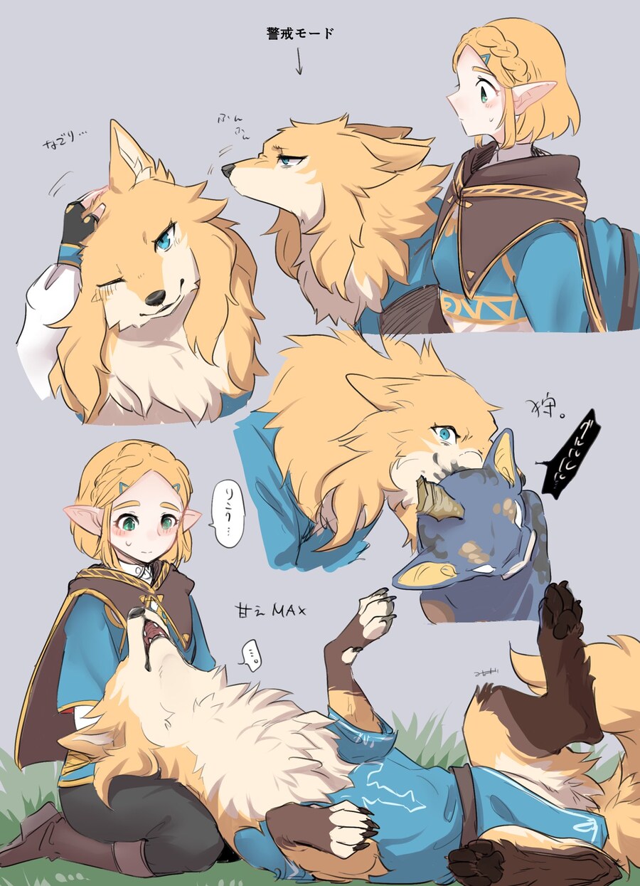 젤다 퍼리짤_1.jpg