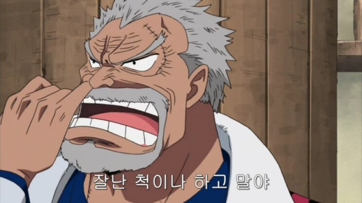 원피스 유전이었던 루피의 바보 코스프레_4.png