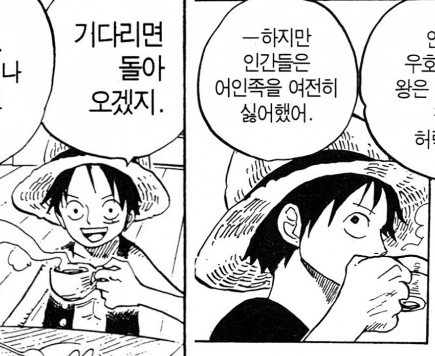 원피스 유전이었던 루피의 바보 코스프레_3.jpg