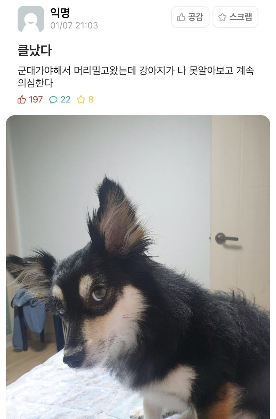 잊지 마라 타이투스. 의심의 얼룩은 쉽게 사라지지 않는다_1.jpg