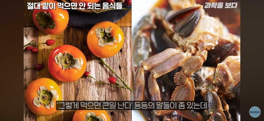과학적으로 같이 먹으면 안되는 음식_1.png