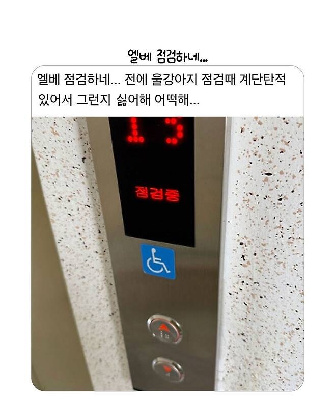 개빡친 댕댕이.jpg_1.jpg