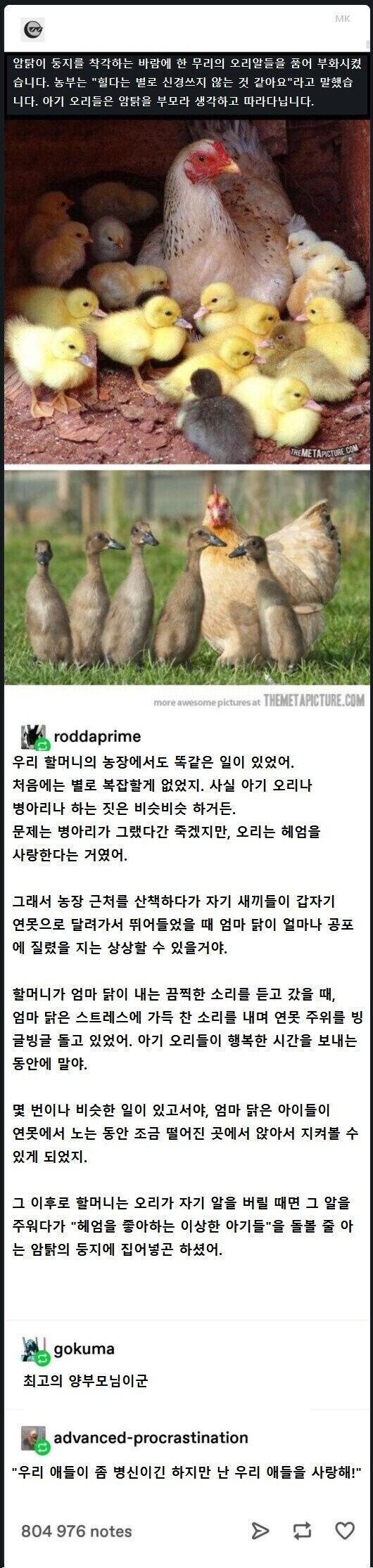 ???: 애들이 좀 희한하긴 한데 그래도 사랑함_1.jpg