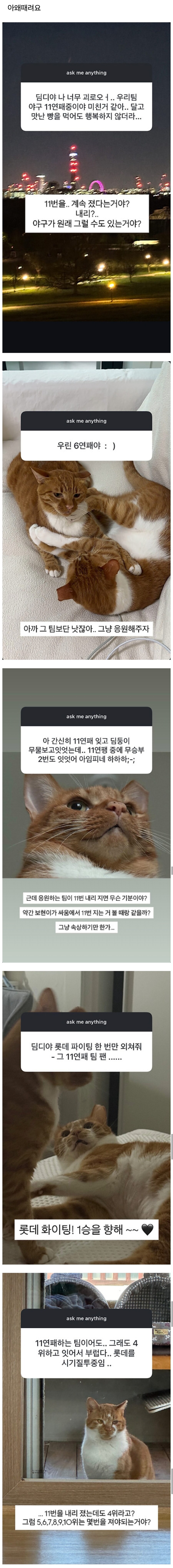 유튜버 무엇이든 물어보세요보다가 도탄맞은 야구팬.jpg_1.jpg