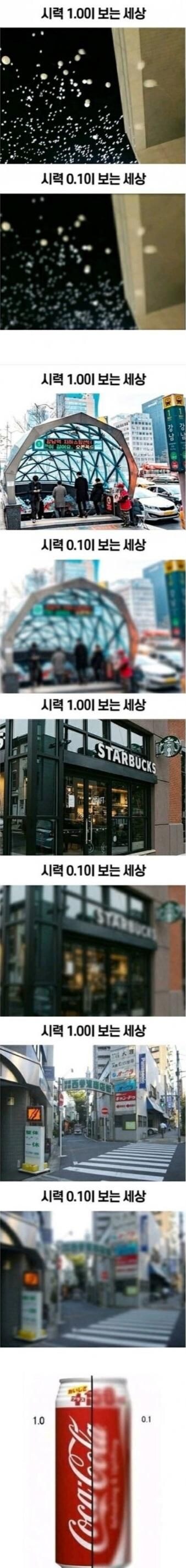 시력 1.0과 0.1이 보는 세상_1.jpg