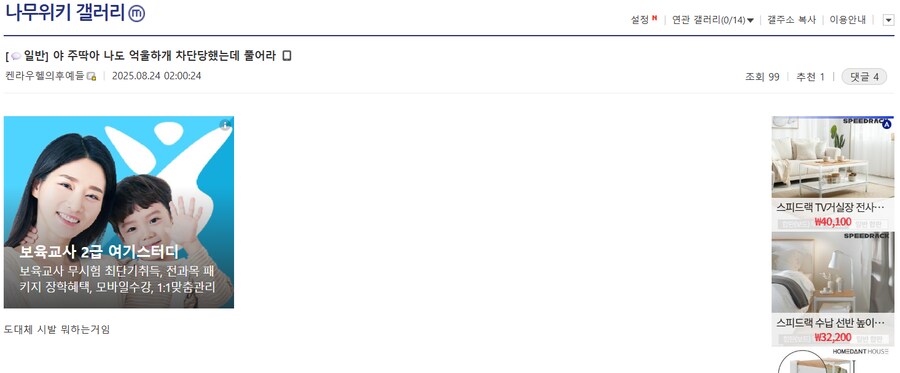차소갤)블랙세이버좌 등판_1.png