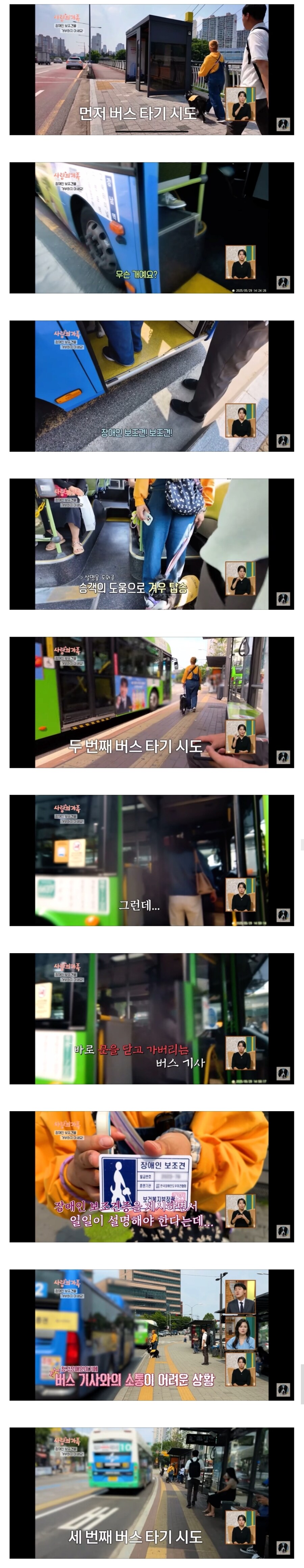 장애인 보조견 버스와 식당 실태_1.jpg