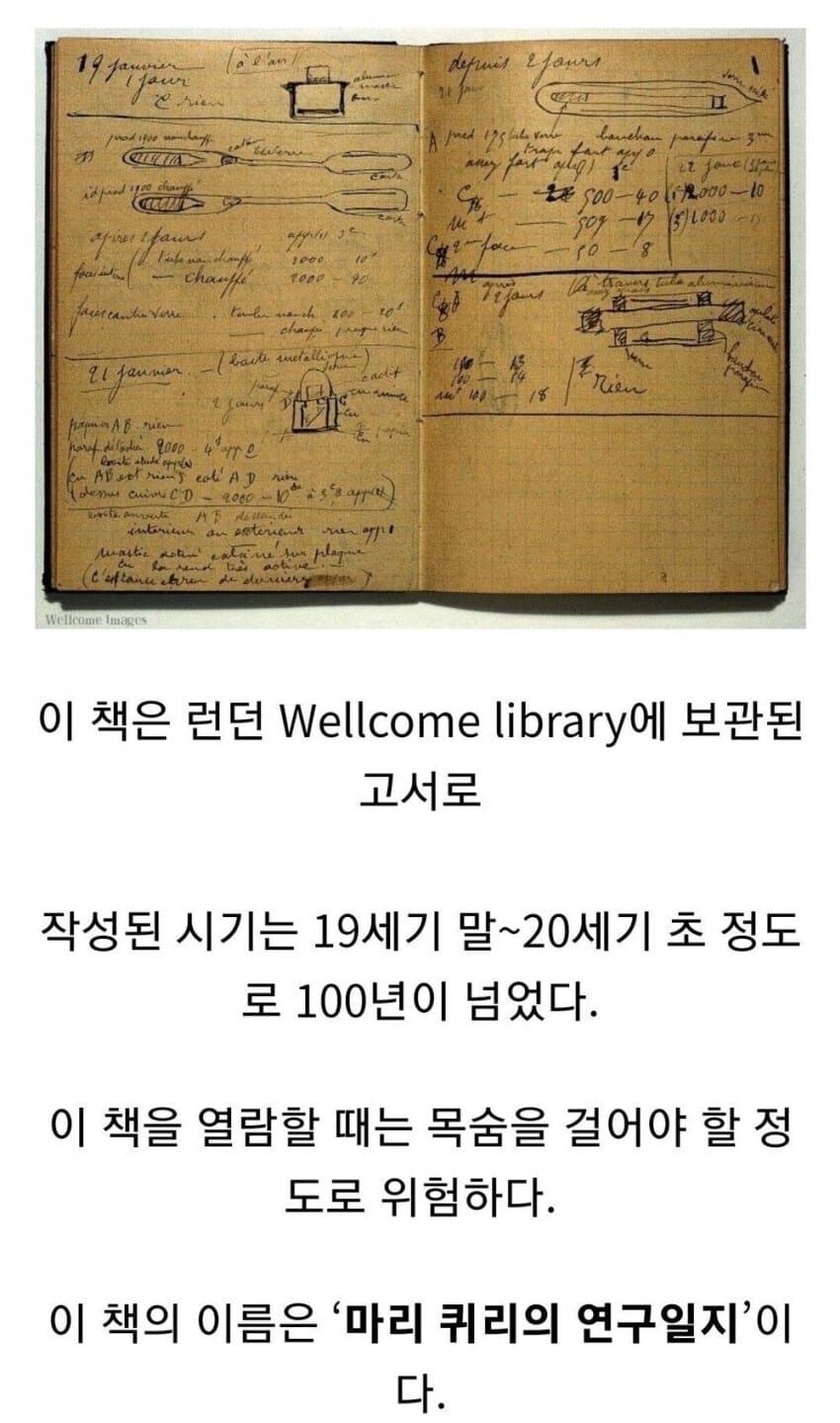 읽는 자에게 저주를 불러오는 현실의 마도서 ㄷㄷㄷ_1.jpg