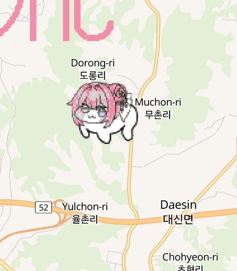 Wplace에서 난 이게 젤 좋았음 ㅋㅋ_1.jpg