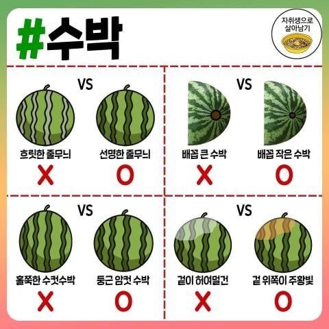 고기, 과일, 조미료 고르는 꿀팁.jpg_8.jpg