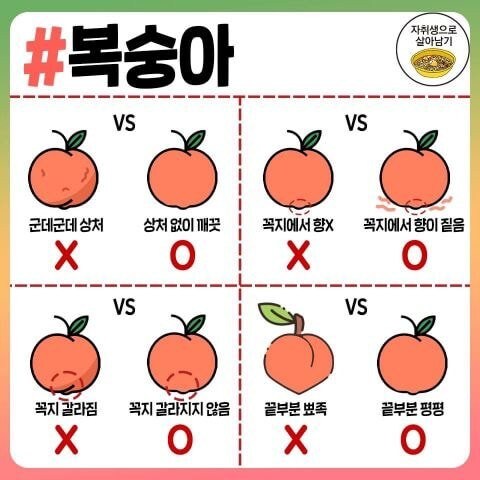 고기, 과일, 조미료 고르는 꿀팁.jpg_9.jpg