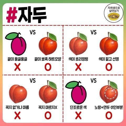 고기, 과일, 조미료 고르는 꿀팁.jpg_10.jpg