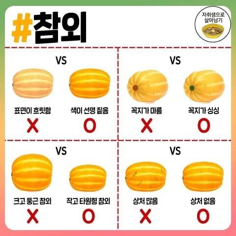 고기, 과일, 조미료 고르는 꿀팁.jpg_13.jpg