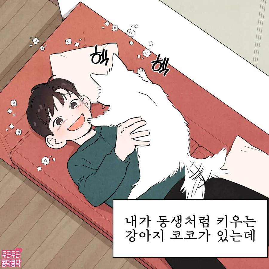 주인을 너무 좋아하는 강아지_1.webp